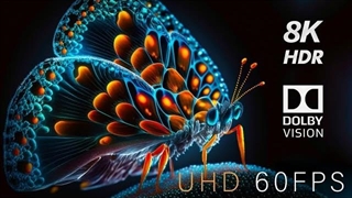 مستند با کیفیت از پروانه ی بسیار زیبا 4K HDR