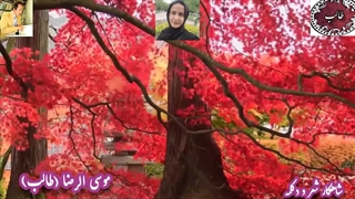 غزلیات طالب اردبیلی | آوای ماندگار حورا سادات علویان | دکلمه شنیدنی شاهکار نقل عاشقی