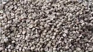 نسکافه آنلاین