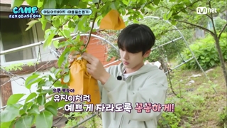 ⋆ آپدیت یوتیوب ا‌م‌نت Mnet با کلیپ‌های قسمت دوم کمپ زیروبیس‌وان " Camp ZeroBaseOne "