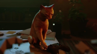 تریلر معرفی نسخه ایکس باکس از بازی Stray