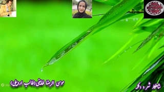 شعر و غزل ناب هوای عاشقی 11 | فضل ساغر طالب اردبیلی با صدای حورا سادات علویان