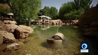 زیبایی بی نظیر میزدج