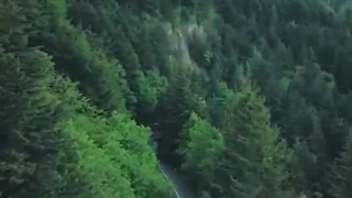 گاهی که یه بچه مارو نگاه کنه..