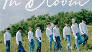 ⋆ آپدیت توییتر زیروبیس‌وان با تایتل پوستر مینی آلبوم youth in the shade