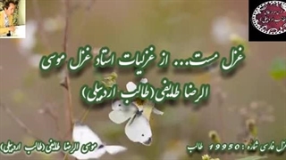 هوای عاشقی در تند خوانی شعر مست از اشعار طالب