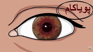 این شناورهای که توی چشم‌مان می‌بینیم؛ چیست؟