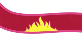 What happens during a heart attack? - Krishna Sudhir