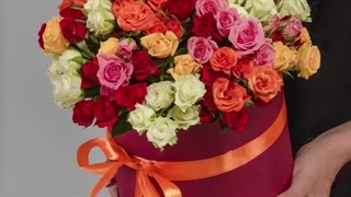 جهان زیبای رزهای مینیاتوری