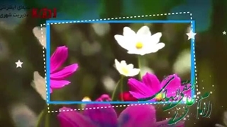 مولودی خوانی امام هادی النقی علیه السلام