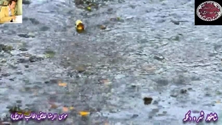 هوای عاشقی| شعر غزل ناب و زیبا از طالب اردبیلی | غزل ماندگار اختیار عشق با صدای شاعر