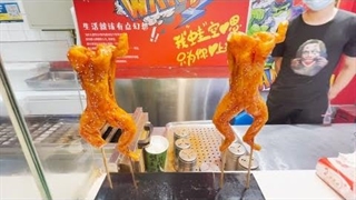 قورباغه کبابی چینی ! - موج کره ای