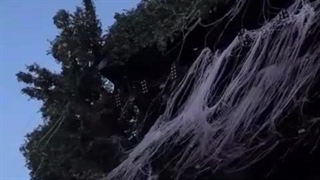 آپدیت استوری اینستاگرام جیسو