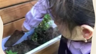 مراحل کاشت تا برداشت گیاه