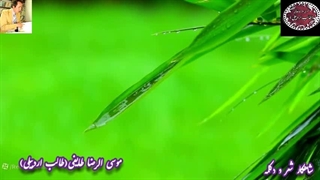 شعر غزل ناب و عاشقانه و عارفانه گنجور از بزرگ شاعر اردبیلی طالب | جادوی دکلمه و صدا از معصومه نعیمی