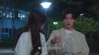 سریال چینی عشق پنهان قسمت ۲۰ بیستم با زیرنویس فارسی