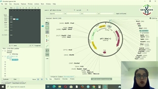 آموزش Snapgene در بیوانفورماتیک