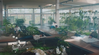 تیزر جدید موزیک ویدیو In Bloom از ZEROBASEONE