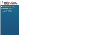 انتقال کربن دی اکسید