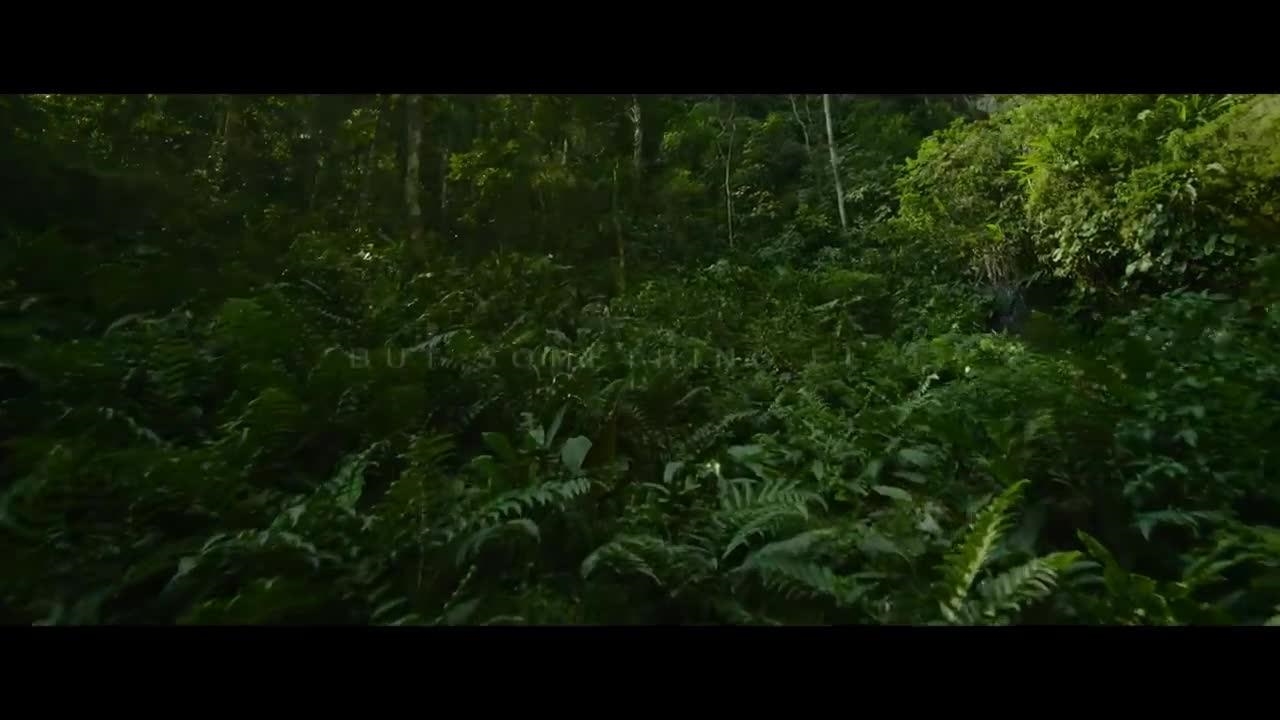 تریلر فیلم Transformers Rise of the Beasts 2023 نماشا