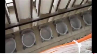 دستگاه پرکن 8 لاین خطی دهانه 75 توان صنعت ‌| ۰۹۱۵۲۰۰۰۰۵۰