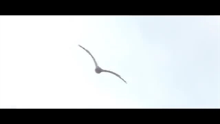 ARASH feat Helena - ONE DAY (Official Video)