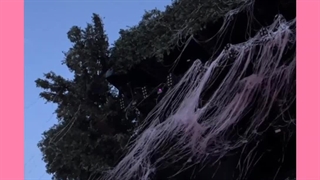 آپدیت اینستاگرام جیسو،لیسا،بولگاری با لیسا/آپدیت استوری اینستاگرام جیسو،بولگاری با لیسا/آپدیت توییتر بلک پینک