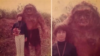 تصاویر دیوانه واری که توسط دوربین های جنگلی صبط شدند