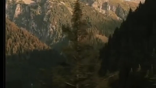 دلنوشته | استوری