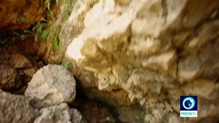 دیار مشروطه