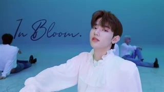 اجرای آهنگ in bloom از zerobaseone در استودیو چوم