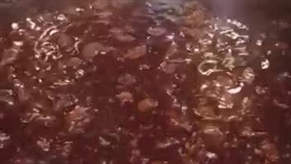 دیگ خورشت پز صنعتی تیان گاز استیل