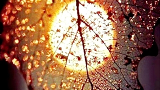 عشق را دفتری نیست..."کپشن"