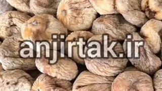 انجیر آردی ترکیه