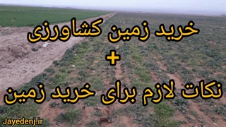 قیمت زمین کشاورزی در محمودآباد است؟