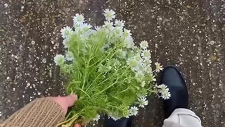 استوری | دلنوشته