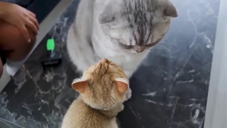 ۲۴ ساعت بدون گوشی_ میشه واقعا؟