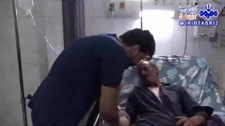 تعارض با خرس در سراب با 3 مصدوم