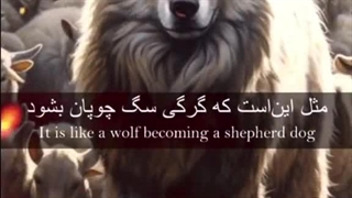 وای اگر مرد گدا یک شبه سلطان بشود