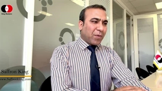 آموزش کاشت زعفران در هلند +  جلسه کشت زعفران گلخانه ای