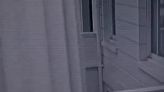 موریارتی وطن پرست