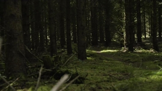 ویدیویی زیبا