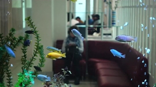 ویدیویی زیبا