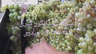 دستگاه ابگیری انگور۰۹۱۳۸۸۰۳۱۰۱