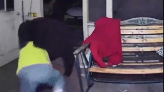 جان فشانی یک مرد برای نجات سگ هایش از دست خرس سیاه وحشی