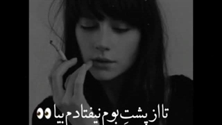 تا از پشت بوم نیفتادم بیاید...