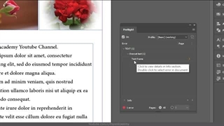 آموزش ایندیزاین از صفر تا صد [درس 44] - استاندارد های خروجی و ایجاد پکیج