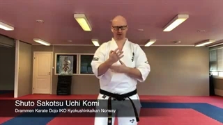 Shuto Sakotsu Uchi Komi