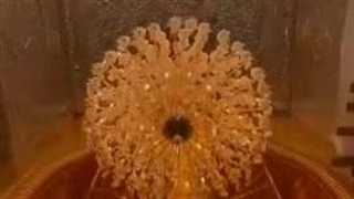 بخاطر ابالفضل، ببر ماهارو حرمت- استوری