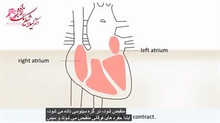 آریتمی چیست و چگونه درمان می شود؟